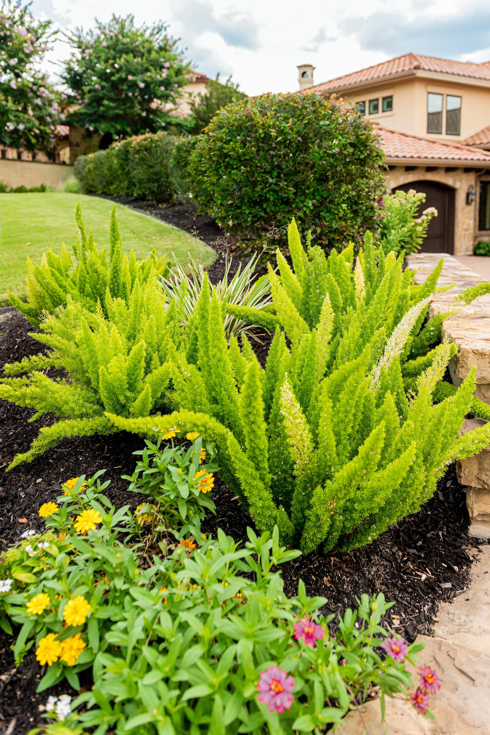 Hill Country, Austin, TX Landscaping Projects