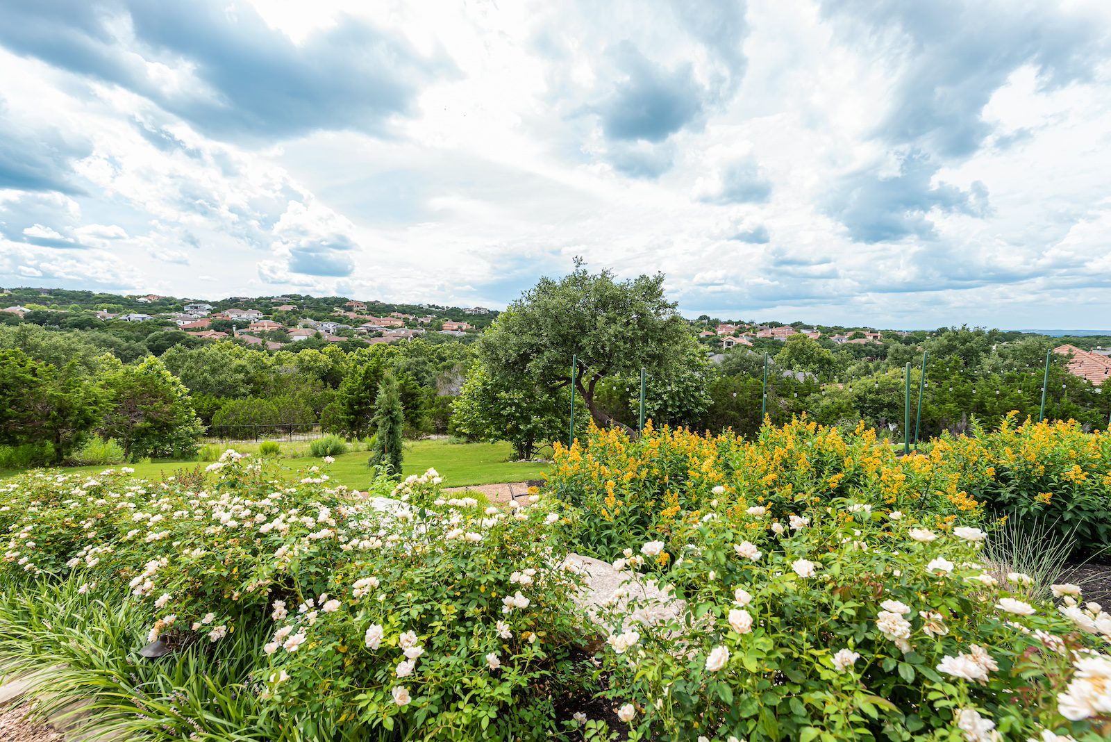 Hill Country, Austin, TX Landscaping Projects